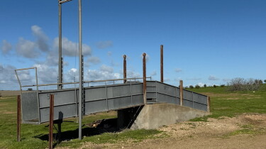 sheep ramp